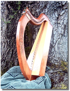 HarpCard2Shadow